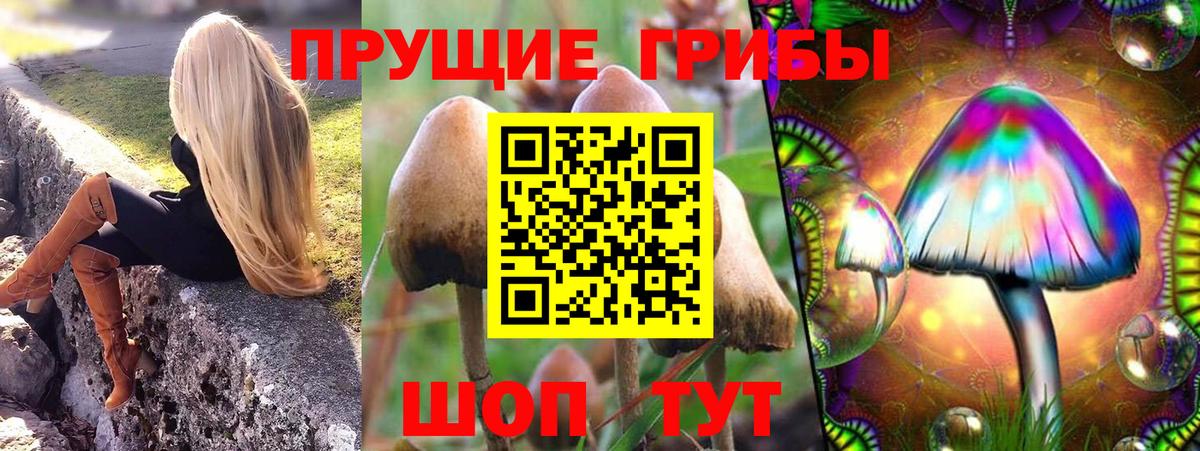 Малоярославец  Псилоцибиновые грибы Magic Shrooms  Псилоцибиновые грибы мухоморы  Вход с VPN 